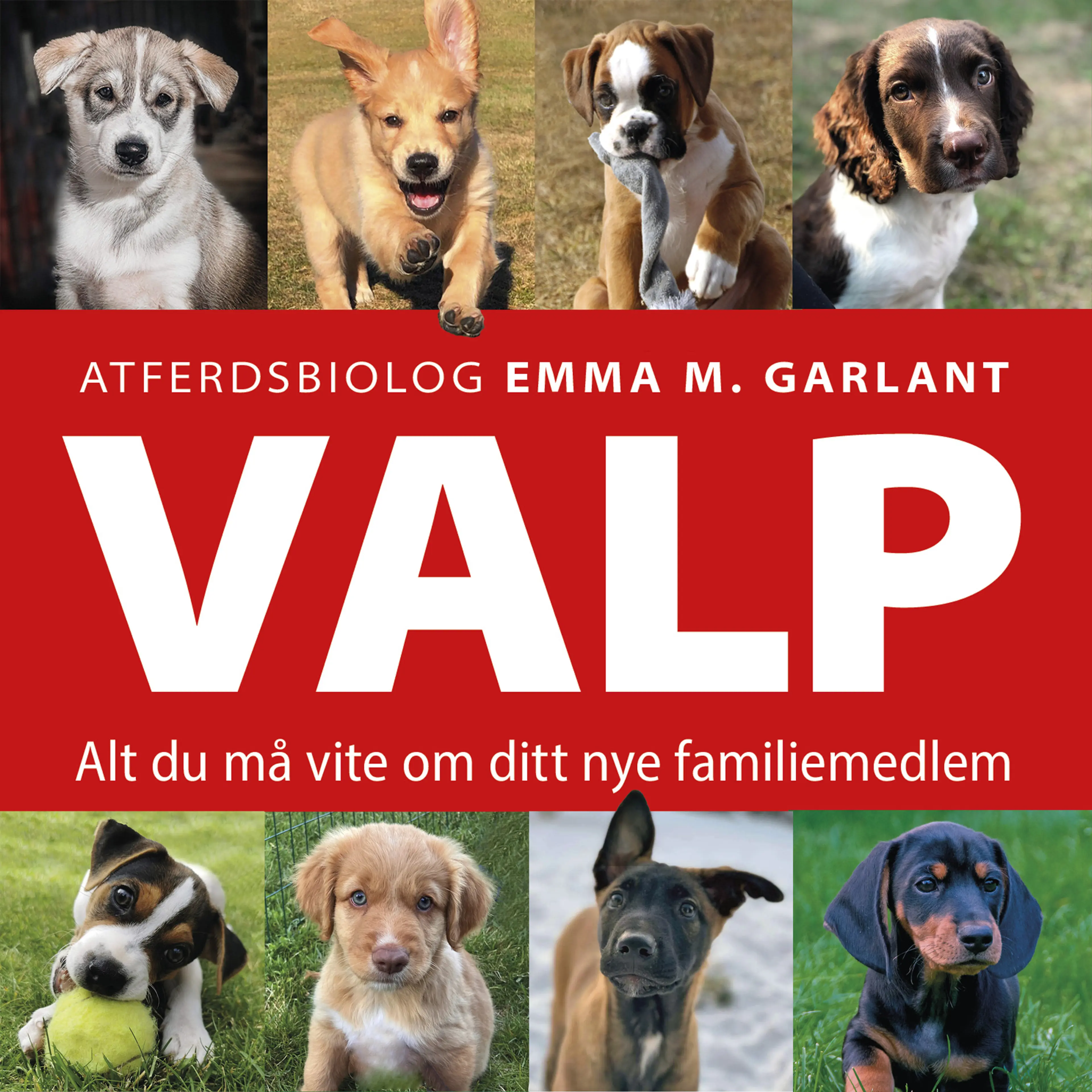 Omslag VALP - Alt du må vite om ditt nye familiemedlem av Emma M. Garlant (Lydbok)