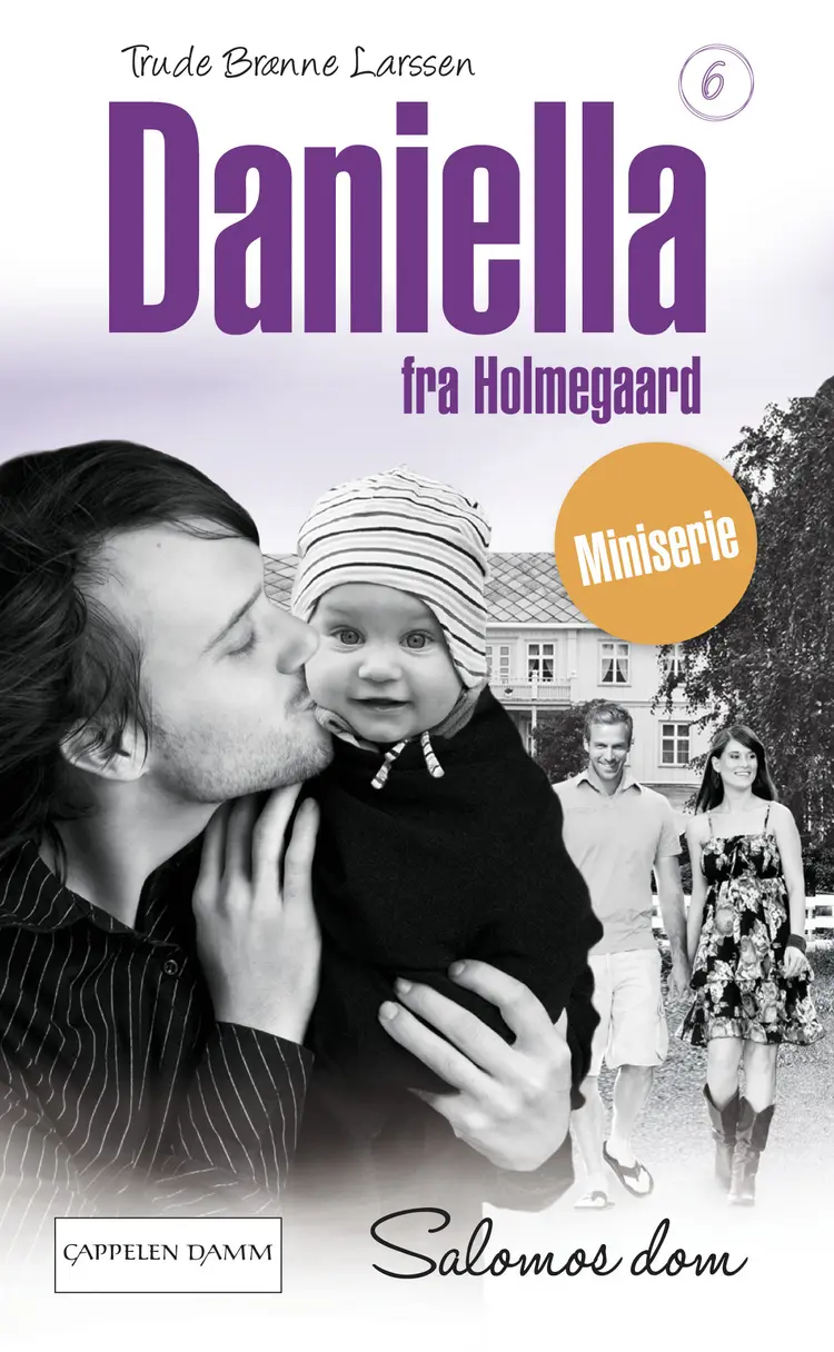 Omslag Salomos dom av Trude Brænne Larssen (Ebok)