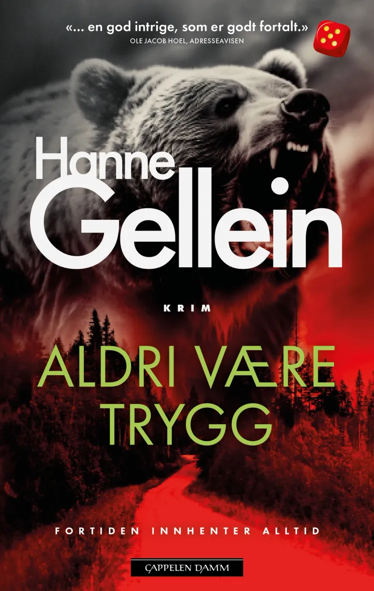 Omslag Aldri være trygg av Hanne Gellein (Ebok)