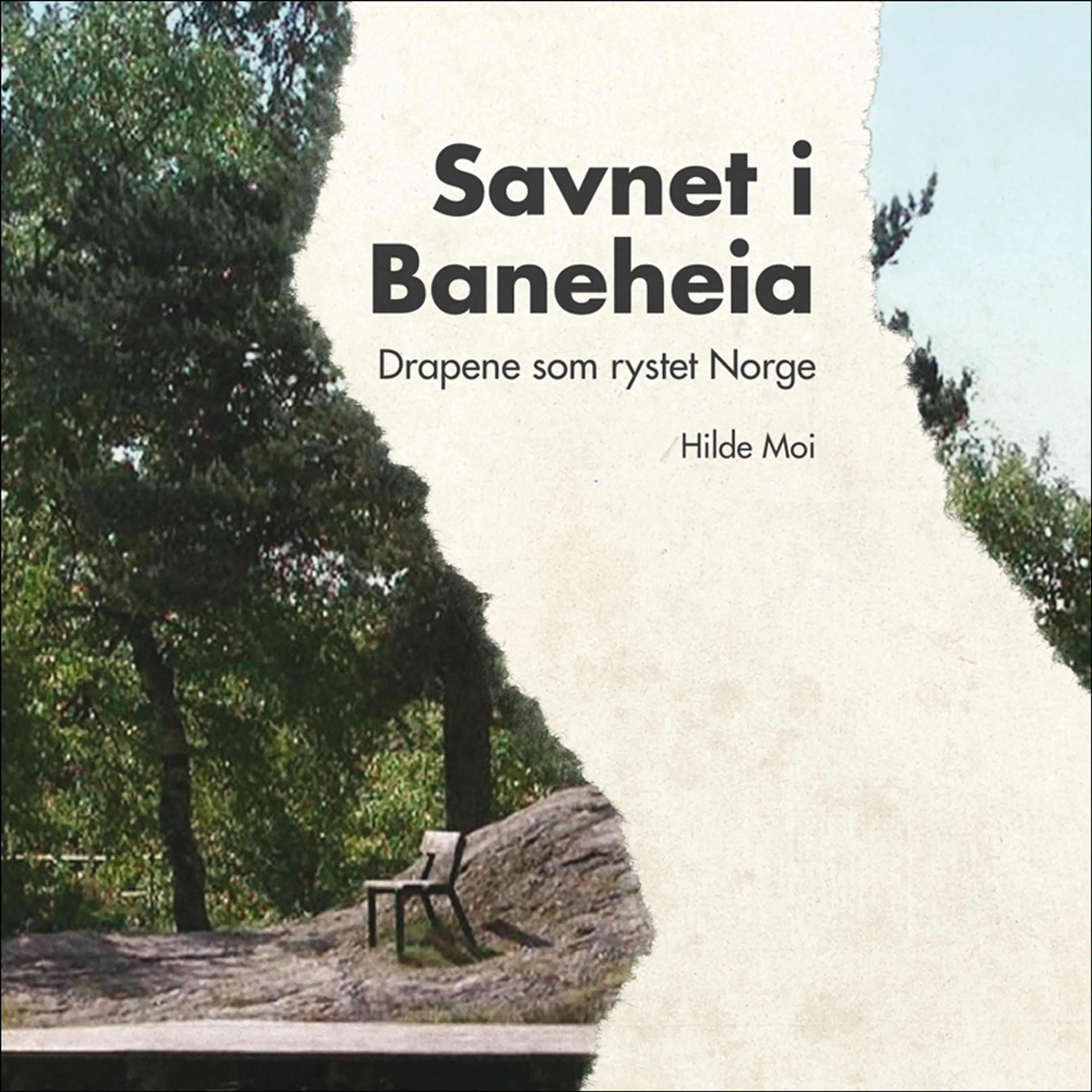 Omslag Savnet i Baneheia av Hilde Moi Østbø (Lydbok)