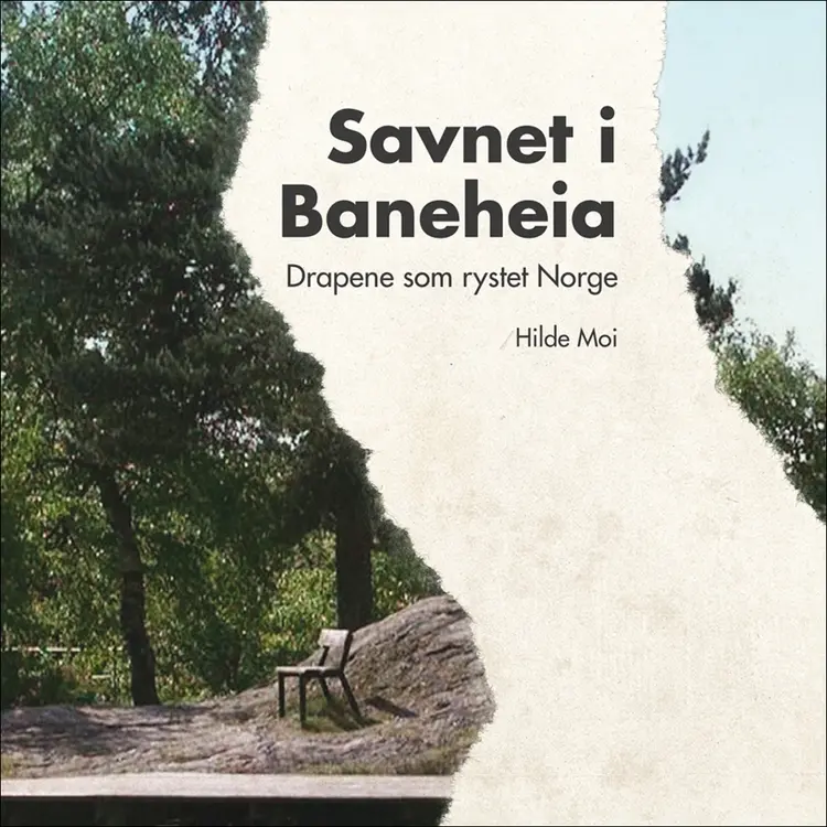 Omslag Savnet i Baneheia av Hilde Moi Østbø (Lydbok)