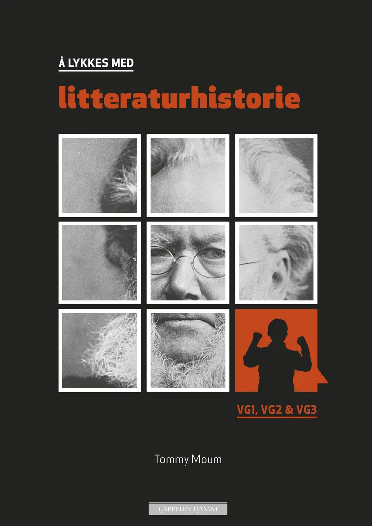 Omslag Å lykkes med litteraturhistorie (2014) (Heftet)