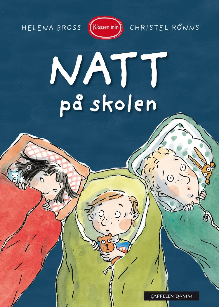 Omslag Klassen min - Natt på skolen av Helena Bross (Innbundet)