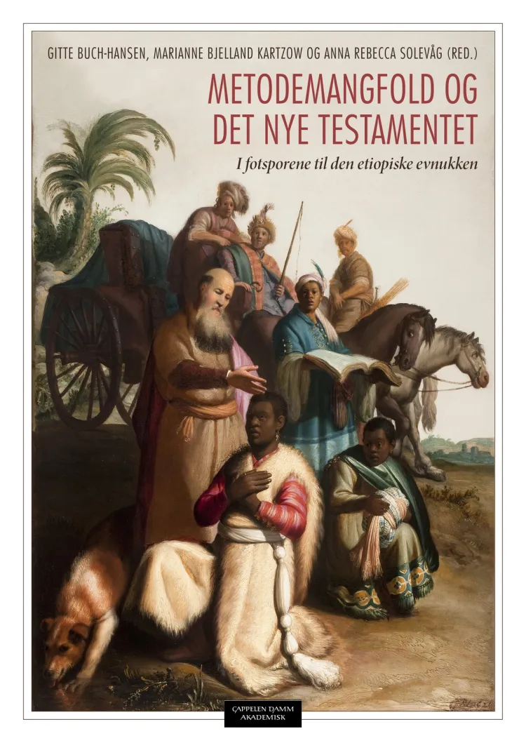 Omslag Metodemangfold og Det nye testamentet av Anna Rebecca Solevåg, Marianne B. Kartzow og Gitte Buch-Hansen (red.) (Heftet)