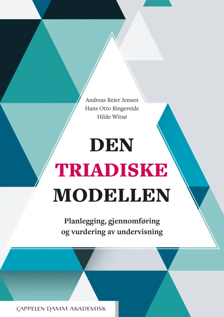 Omslag Den triadiske modellen av Andreas Reier Jensen, Hans Otto Ringereide og Hilde Witsø (Heftet)