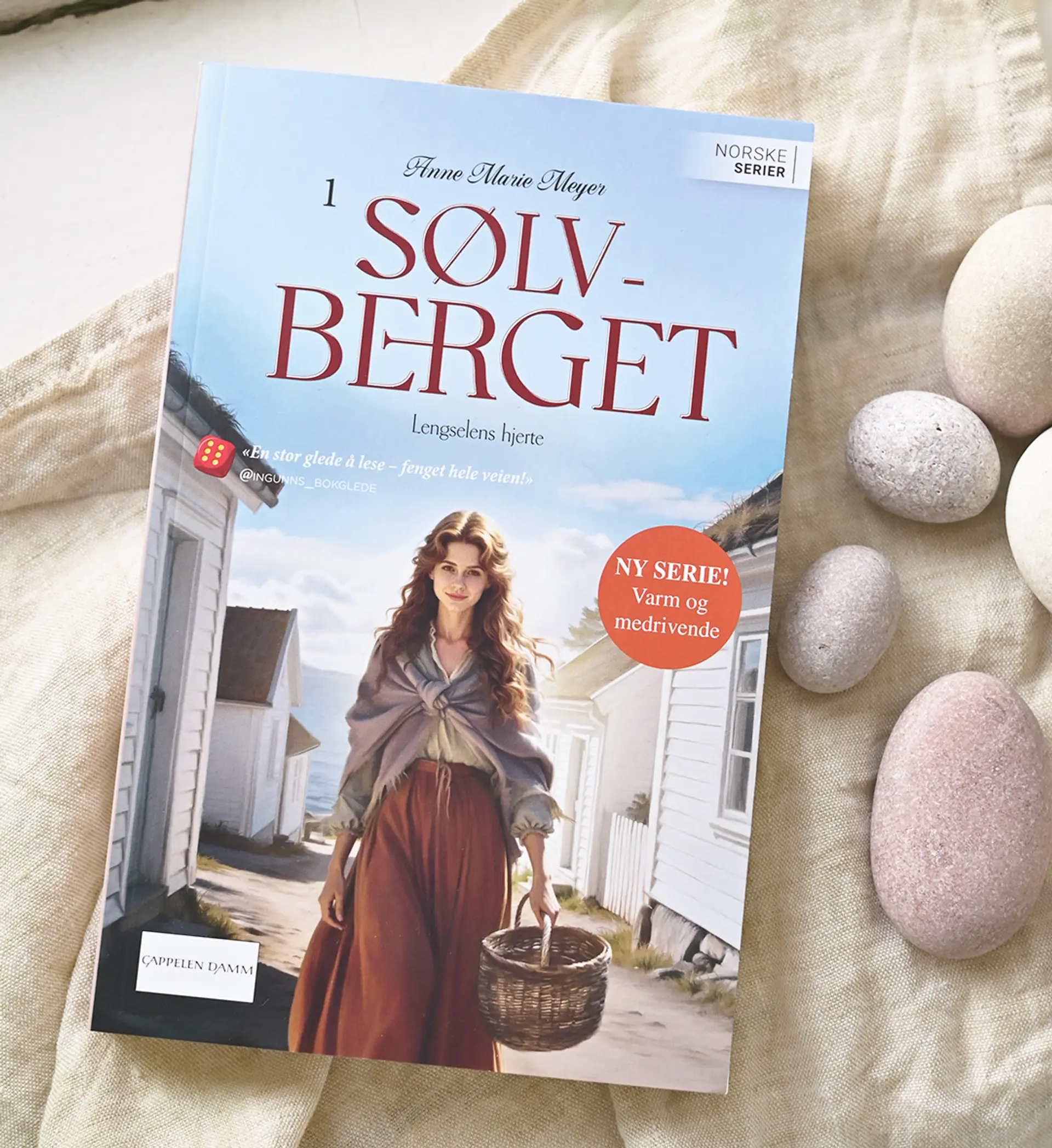 Sølvberget 1 av Anne Marie Meyer