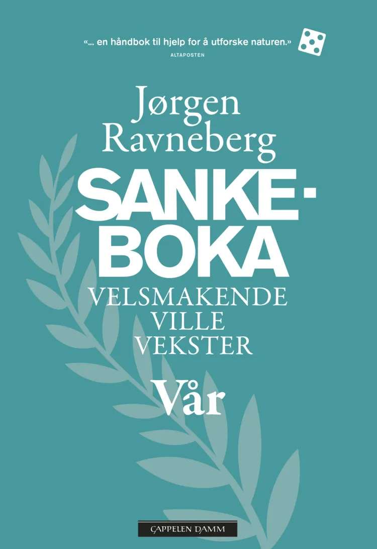 Omslag Sankeboka vår av Jørgen Ravneberg (Innbundet)