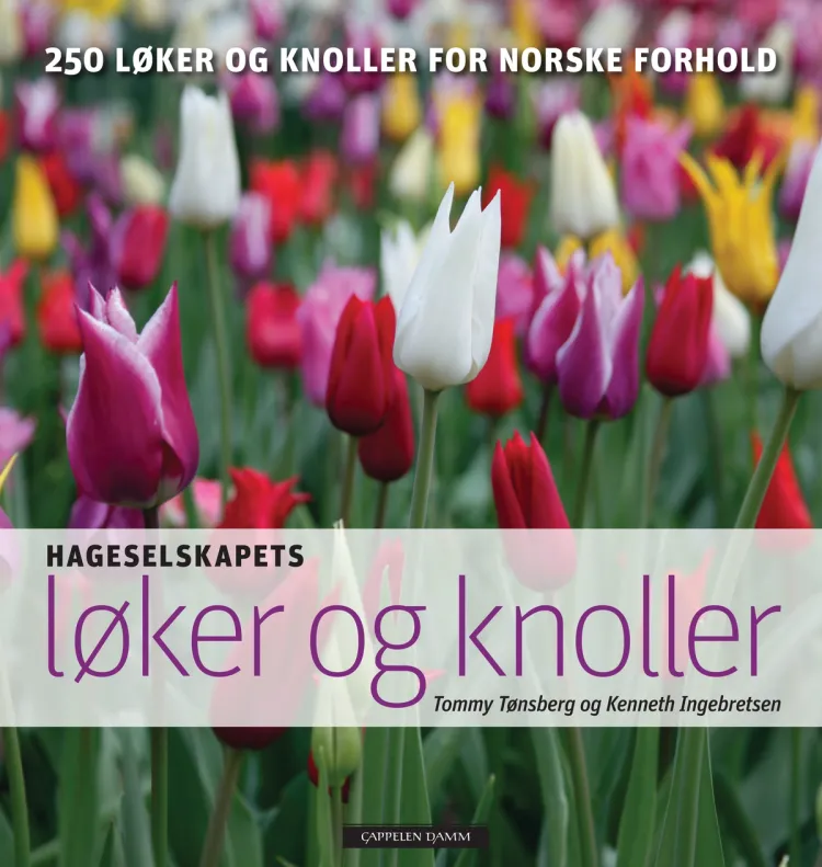 Omslag Hageselskapets løker og knoller av Tommy Tønsberg og Kenneth Ingebretsen (Innbundet)
