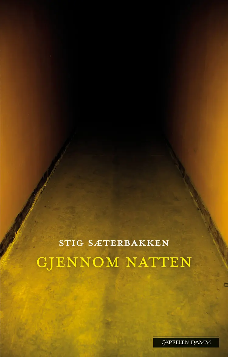 Omslag Gjennom natten av Stig Sæterbakken (Innbundet)