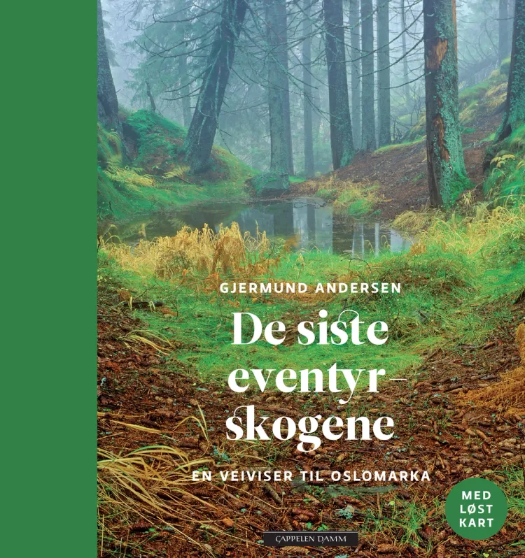 Omslag De siste eventyrskogene av Gjermund Andersen (Innbundet)