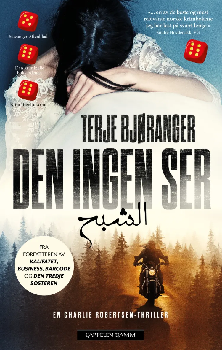 Omslag Den ingen ser av Terje Bjøranger (Innbundet)