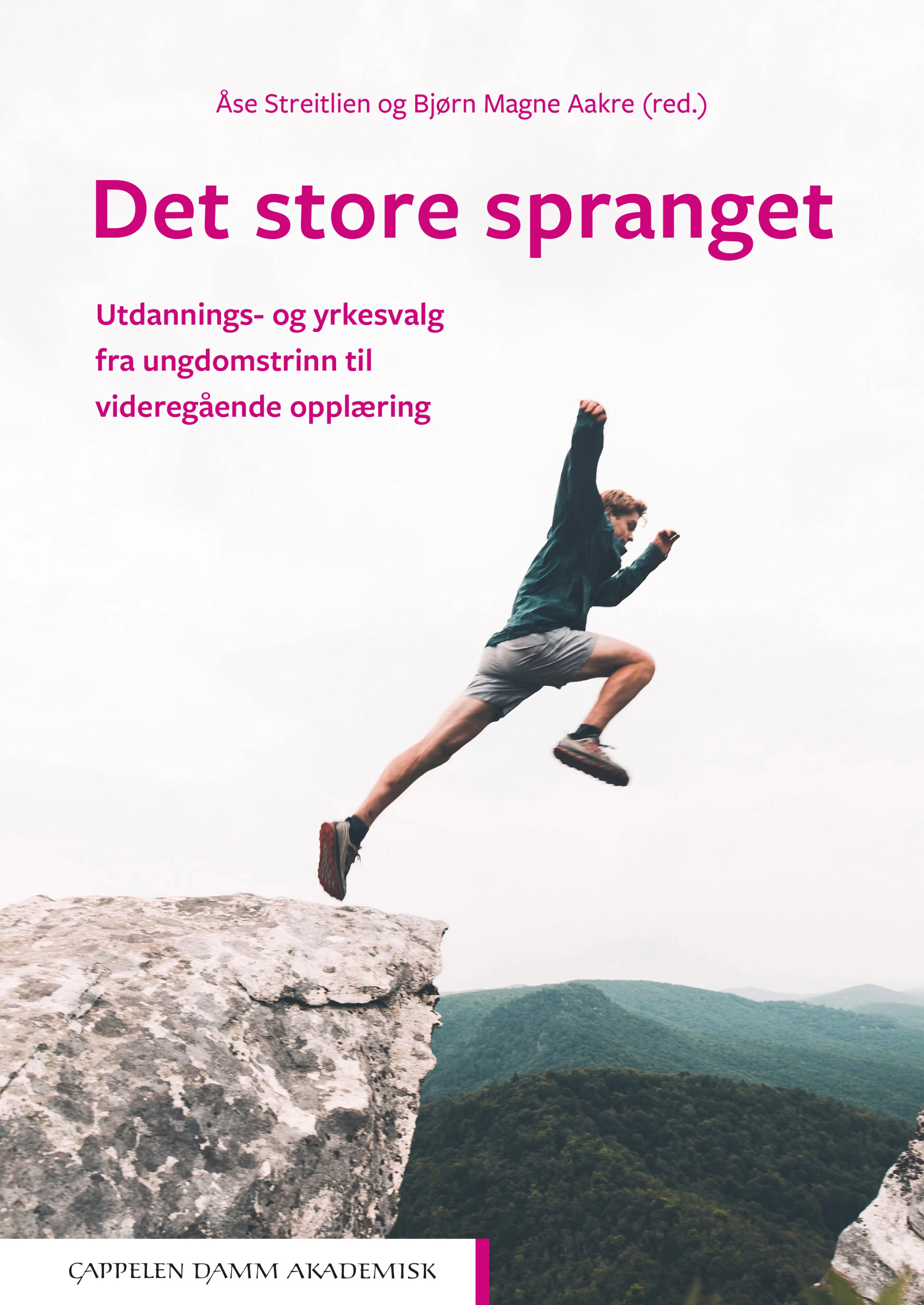 Omslag Det store spranget av Åse Streitlien og Bjørn Magne Aakre (Heftet)
