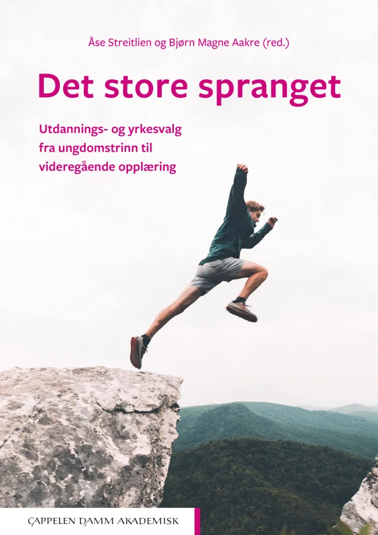 Omslag Det store spranget av Åse Streitlien og Bjørn Magne Aakre (Heftet)