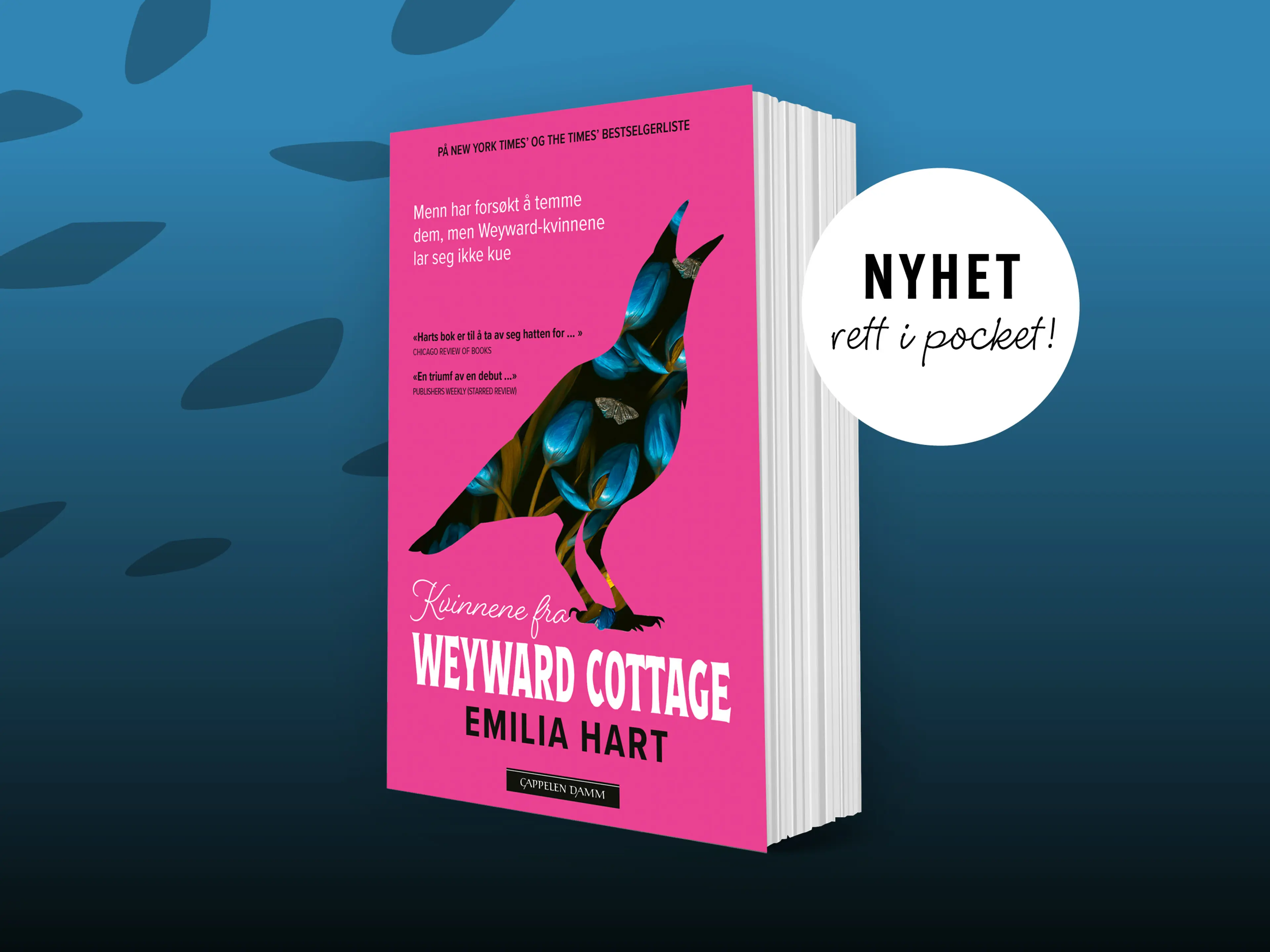 Boken Kvinnene fra Weyward Cottage