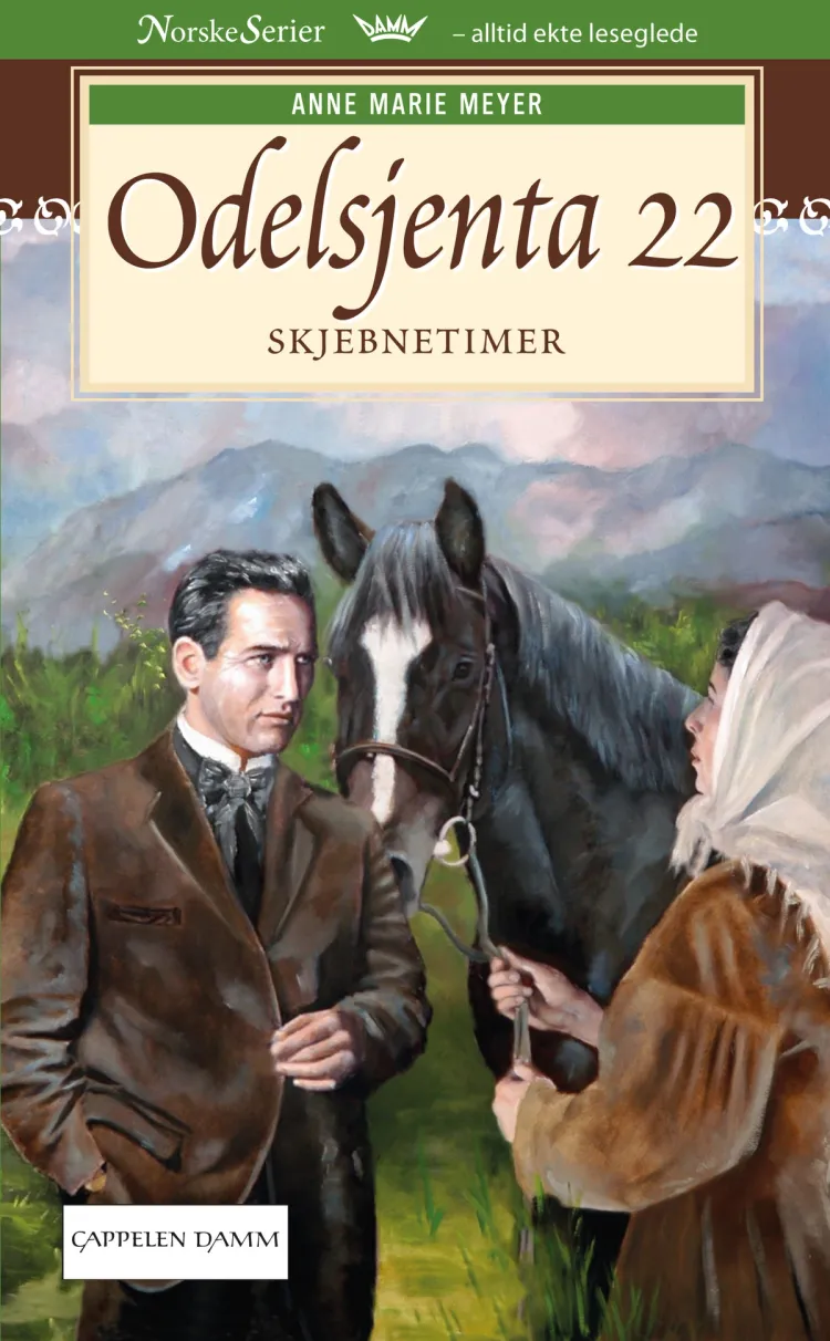 Omslag Skjebnetimer av Anne Marie Løvlie Meyer (Ebok)