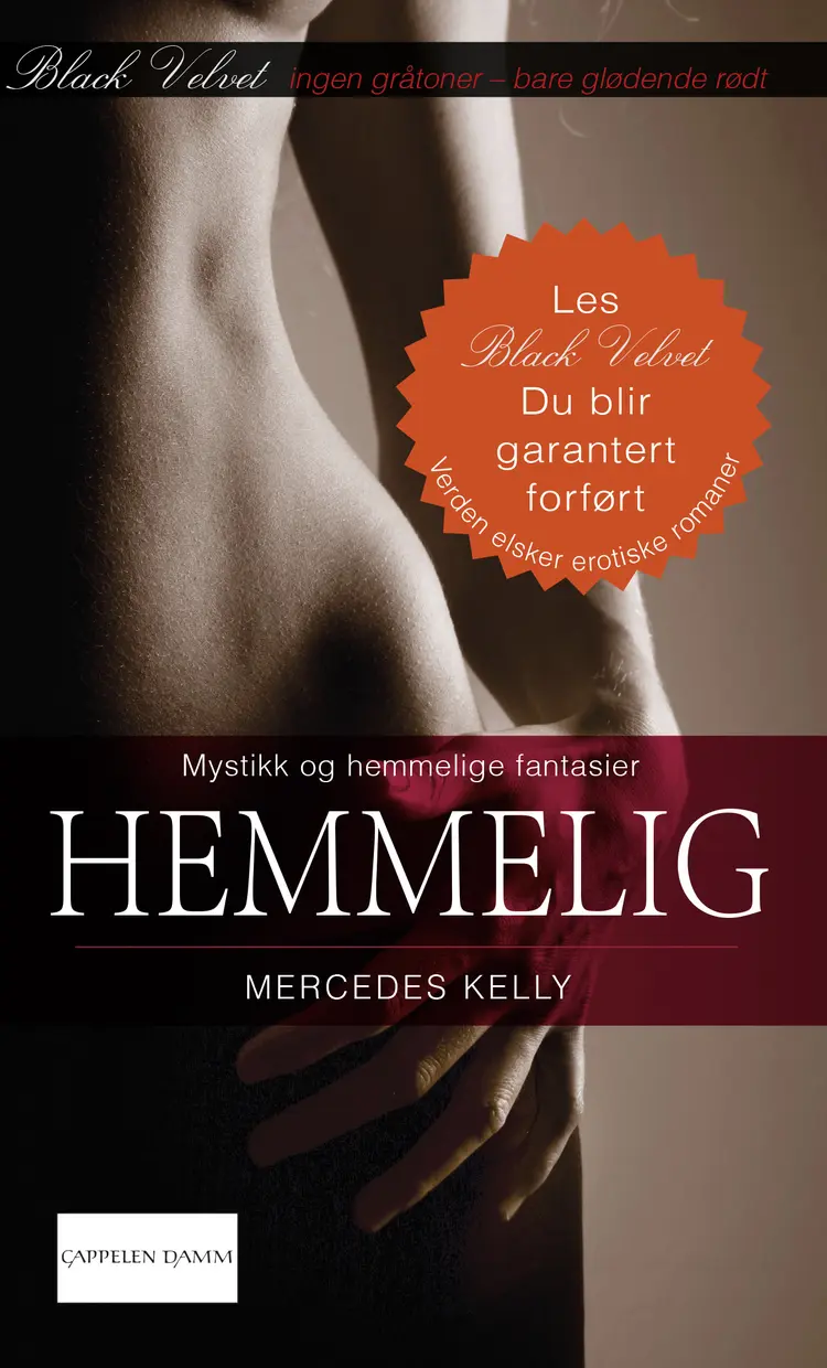 Omslag Hemmelig av Mercedes Kelly (Ebok)