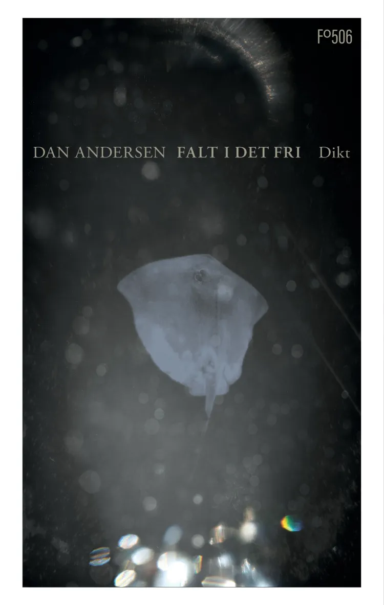 Omslag Falt i det fri av Dan Andersen (Ebok)