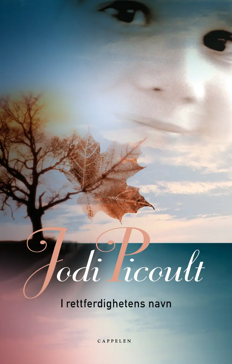 Omslag I rettferdighetens navn av Jodi Picoult (Innbundet)