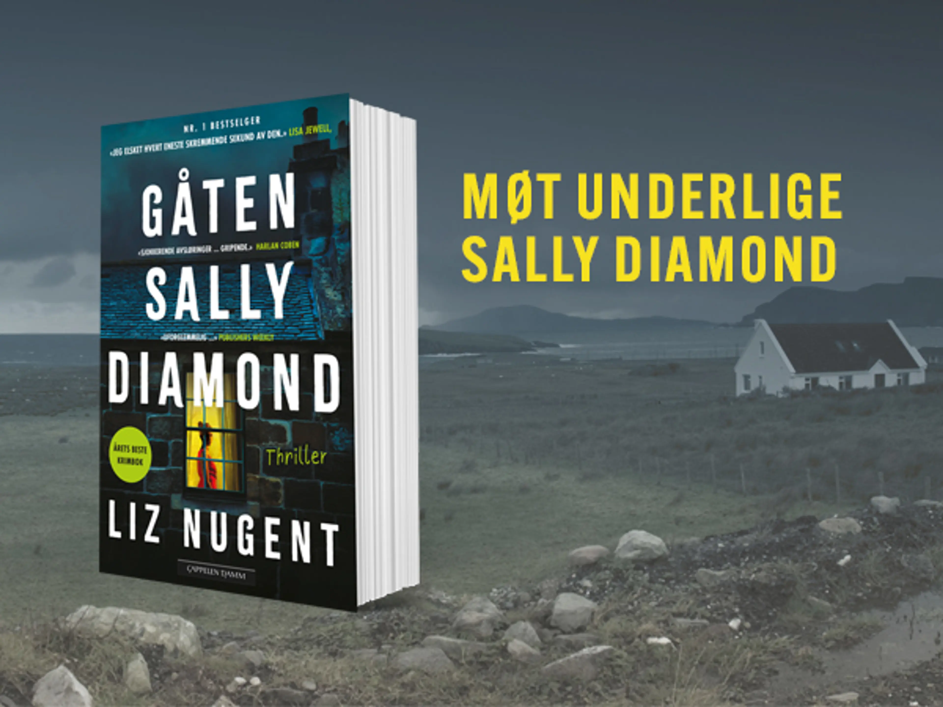 Boken Gåten Sally Diamond på en bakgrunn med mørkt kystlandskap