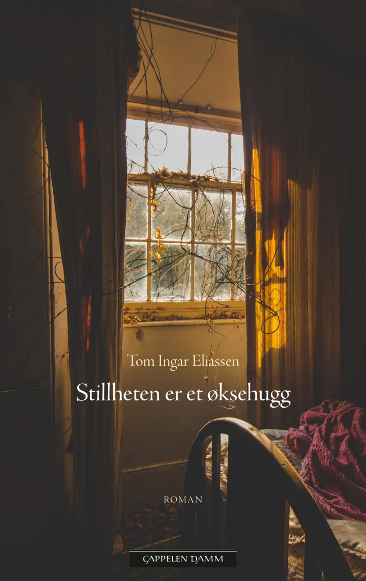 Omslag Stillheten er et øksehugg av Tom Ingar Eliassen (Ebok)