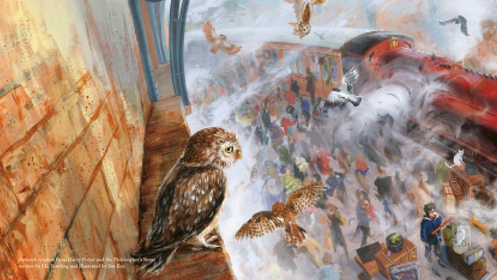 Harry Potter Book Day: Kom og les med oss!