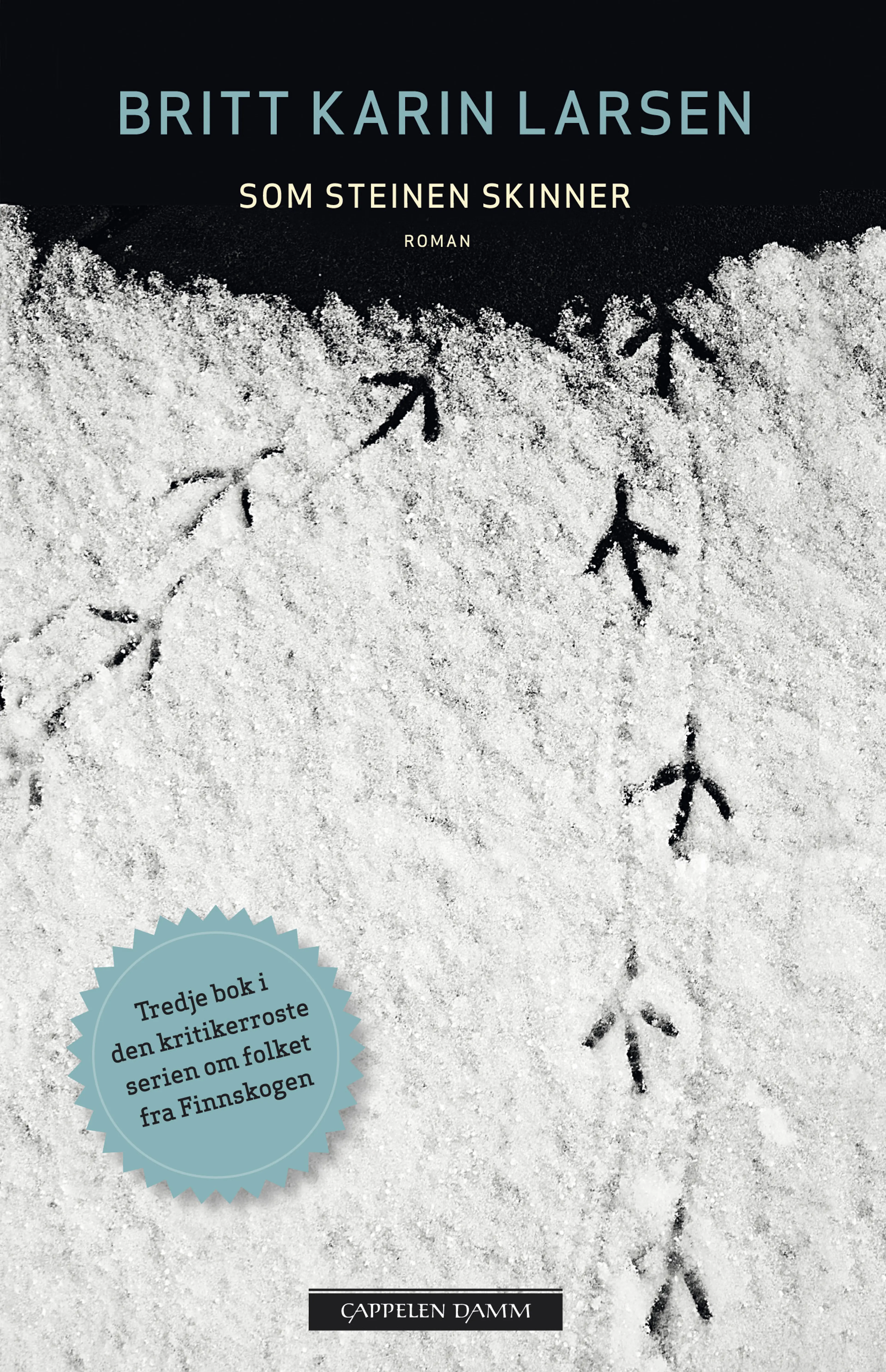 Omslag Som steinen skinner av Britt Karin Larsen (Ebok)
