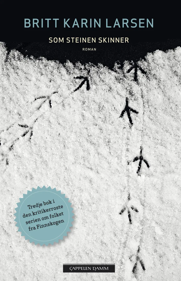 Omslag Som steinen skinner av Britt Karin Larsen (Ebok)
