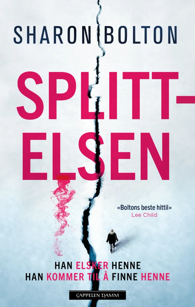 Omslag Splittelsen av Sharon Bolton (Innbundet)