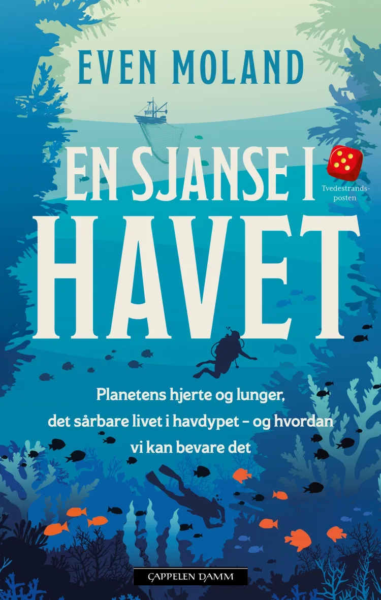 Omslag En sjanse i havet av Even Moland (Ebok)