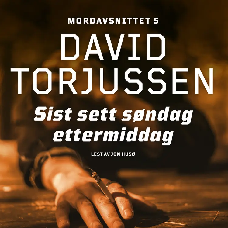 Omslag Sist sett søndag ettermiddag av David Torjussen (Lydbok)