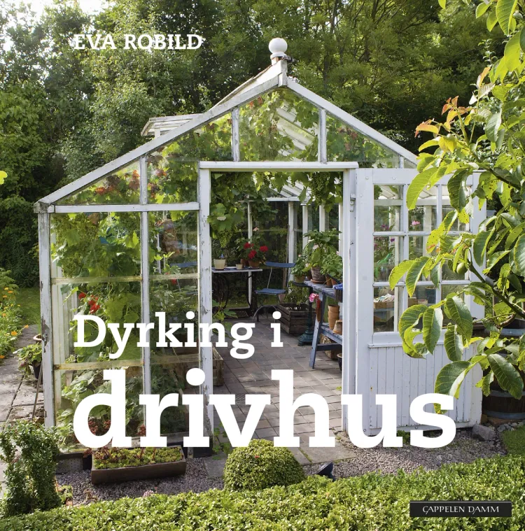 Omslag Dyrking i drivhus av Eva Robild (Innbundet)