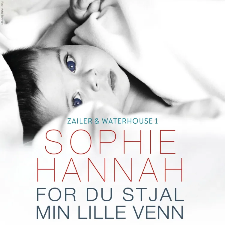 Omslag For du stjal min lille venn av Sophie Hannah (Lydbok)