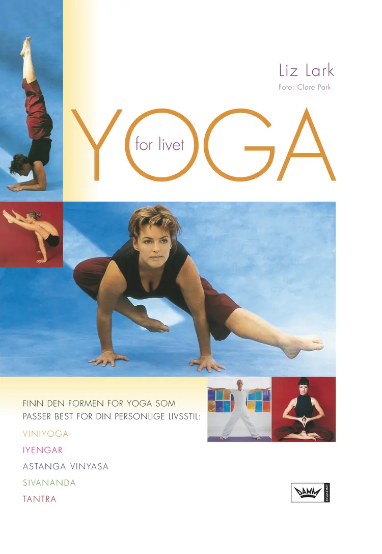 Omslag Yoga for livet av Liz Lark (Innbundet)