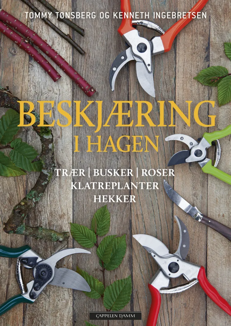 Omslag Beskjæring i hagen av Kenneth Ingebretsen og Tommy Tønsberg (Innbundet)