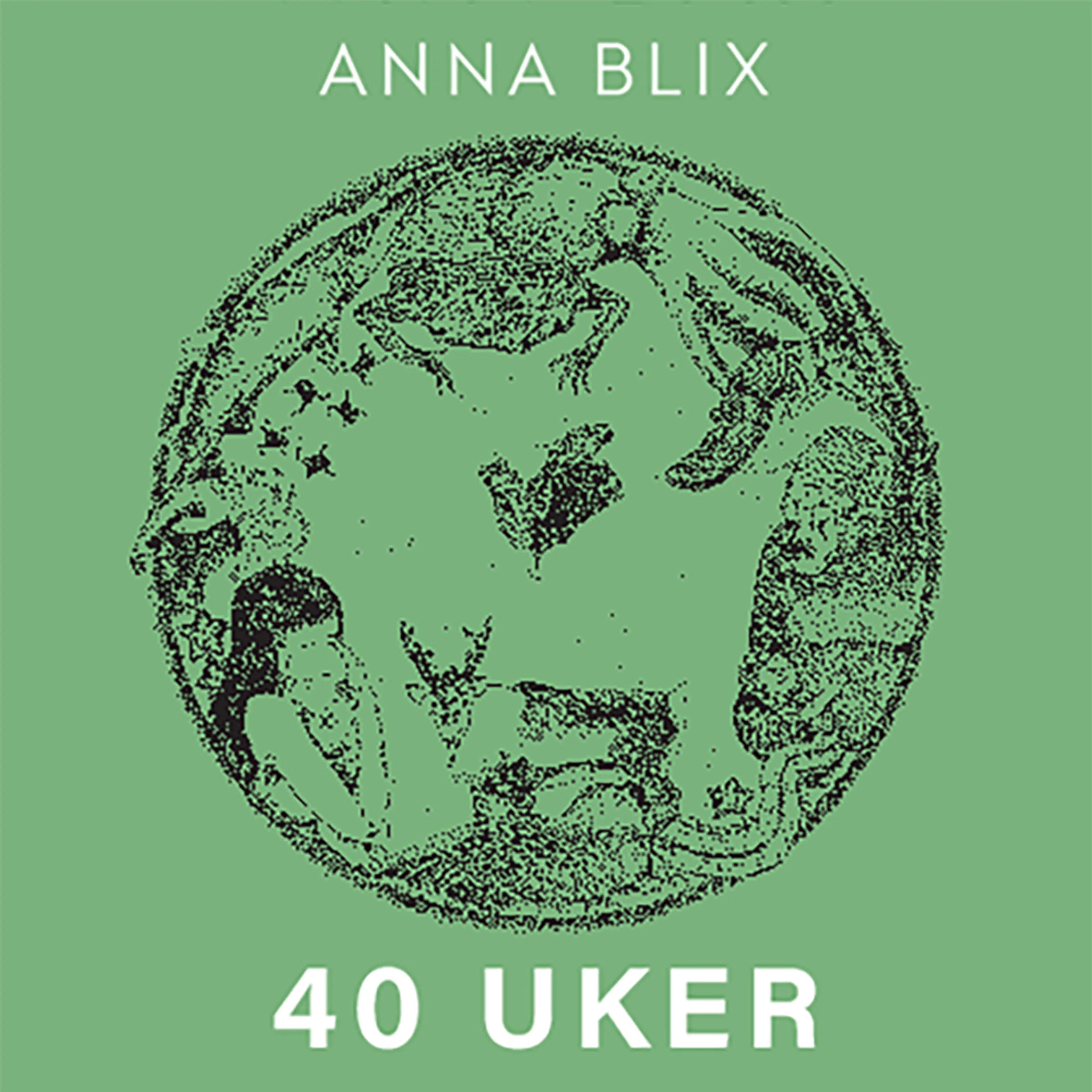 Omslag 40 uker, en menneskegraviditet og 81 andre måter å få barn på av Anna Blix (Lydbok)