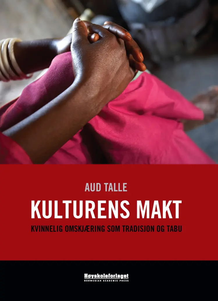 Omslag Kulturens makt av Aud Talle (Heftet)