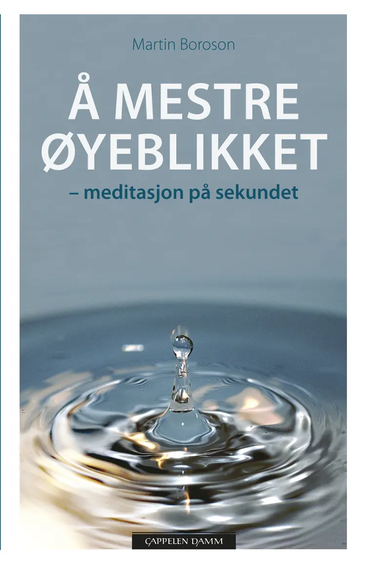 Omslag Å mestre øyeblikket av Martin Boroson (Innbundet)