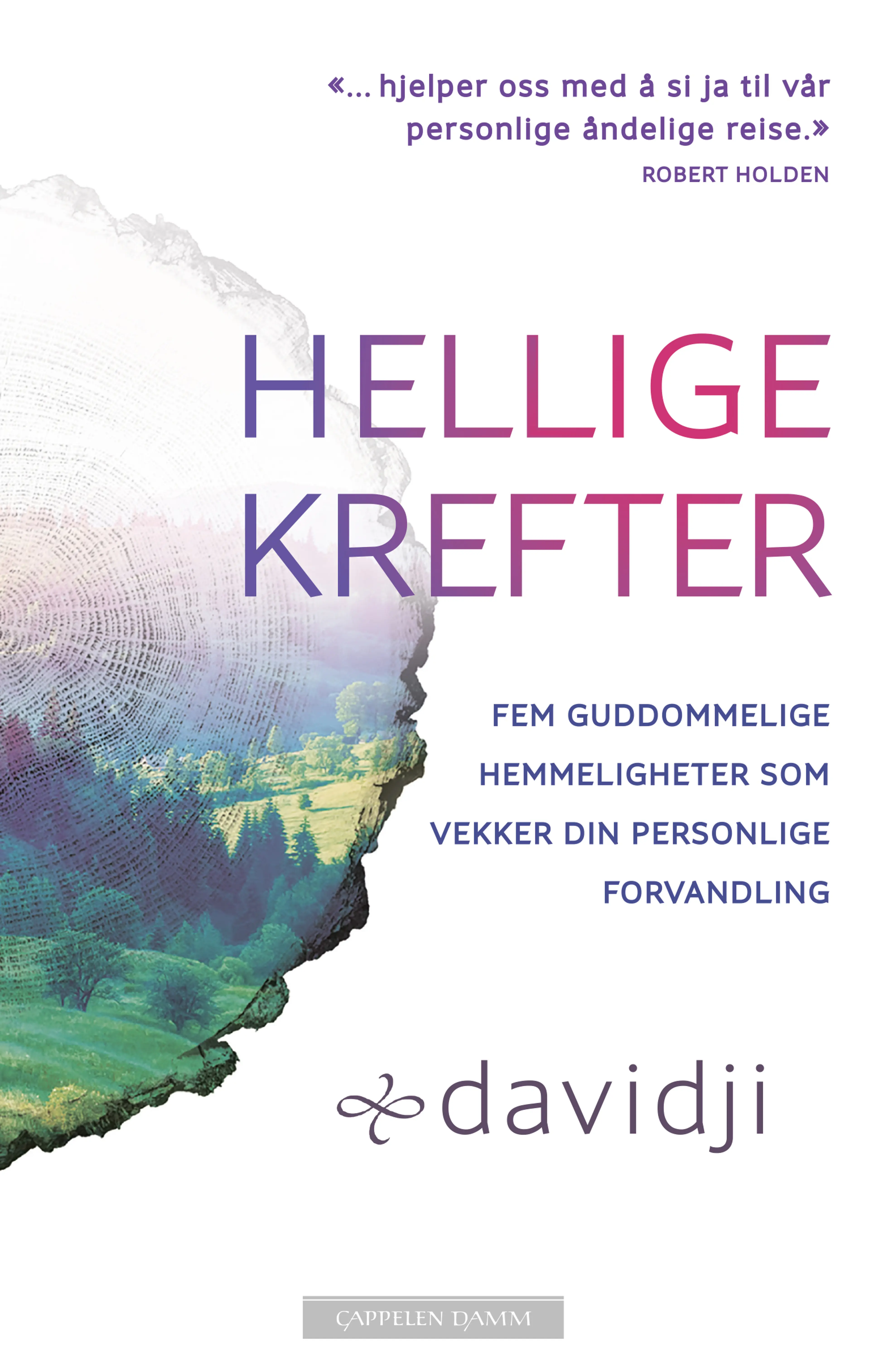 Omslag Hellige krefter av davidji (Ebok)