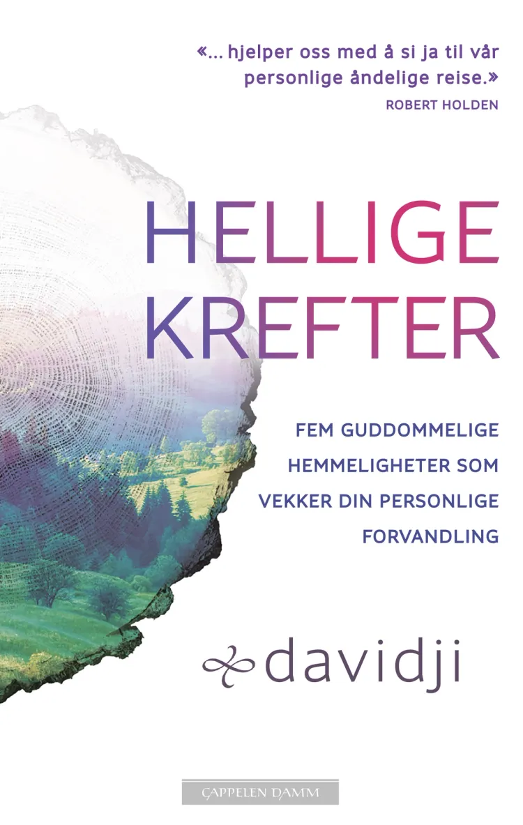 Omslag Hellige krefter av davidji (Ebok)