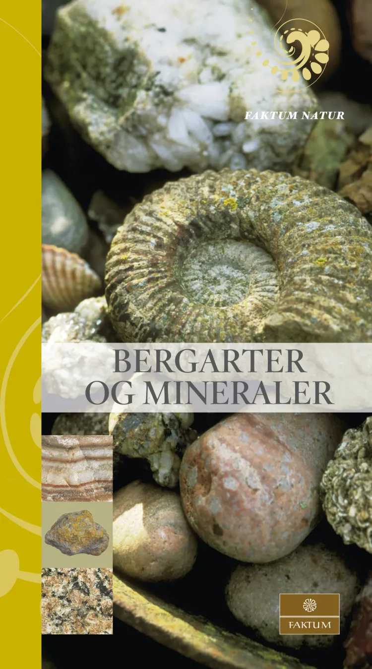 Omslag Bergarter og mineraler av Tony Waltham (Innbundet)