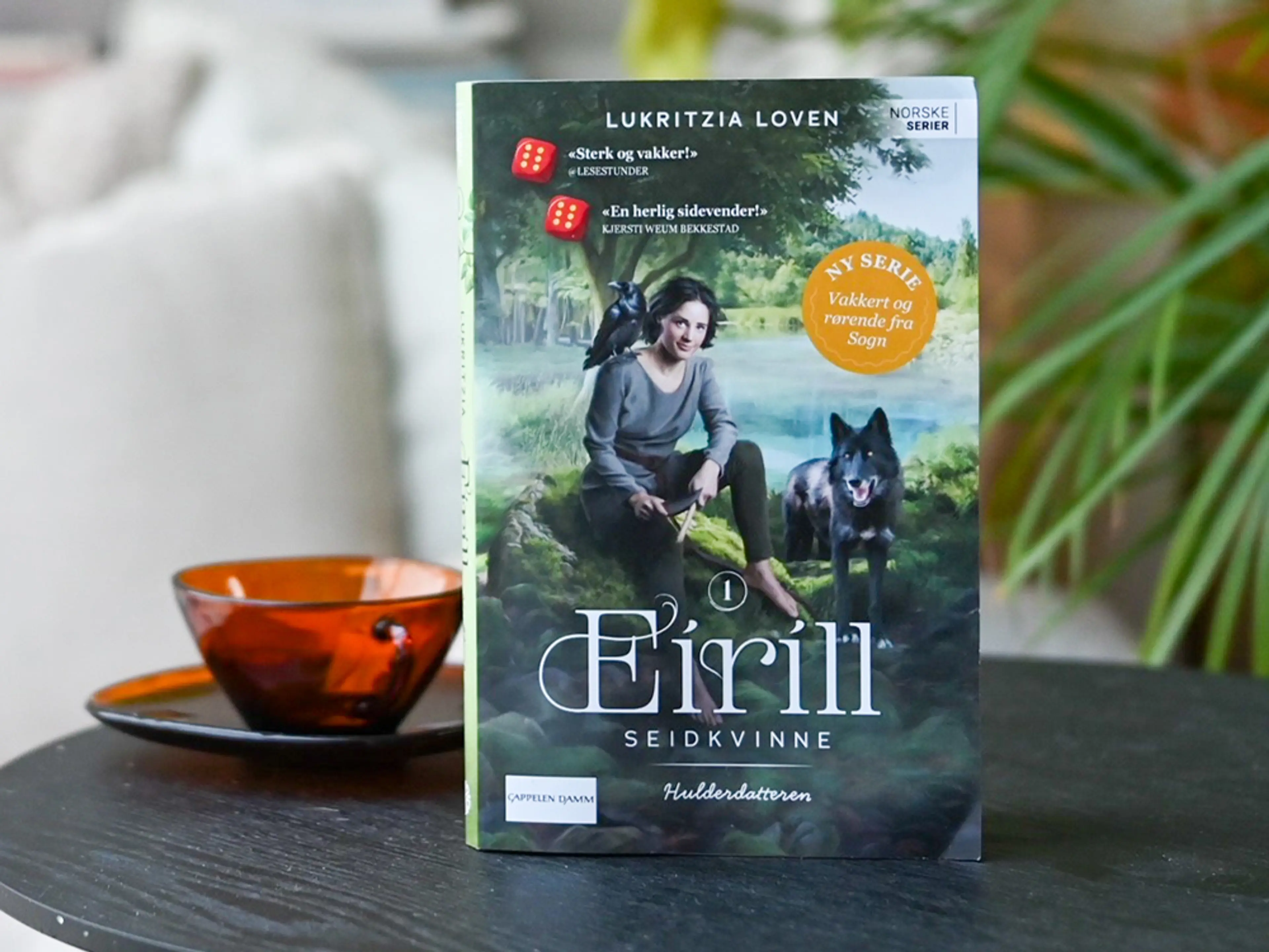 Foto av første bok i serien Eirill seidkvinne