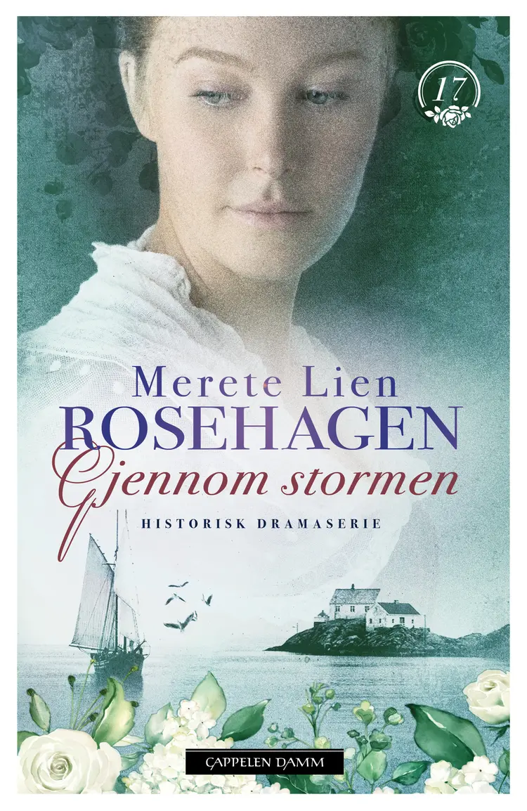 Omslag Gjennom stormen av Merete Lien (Ebok)