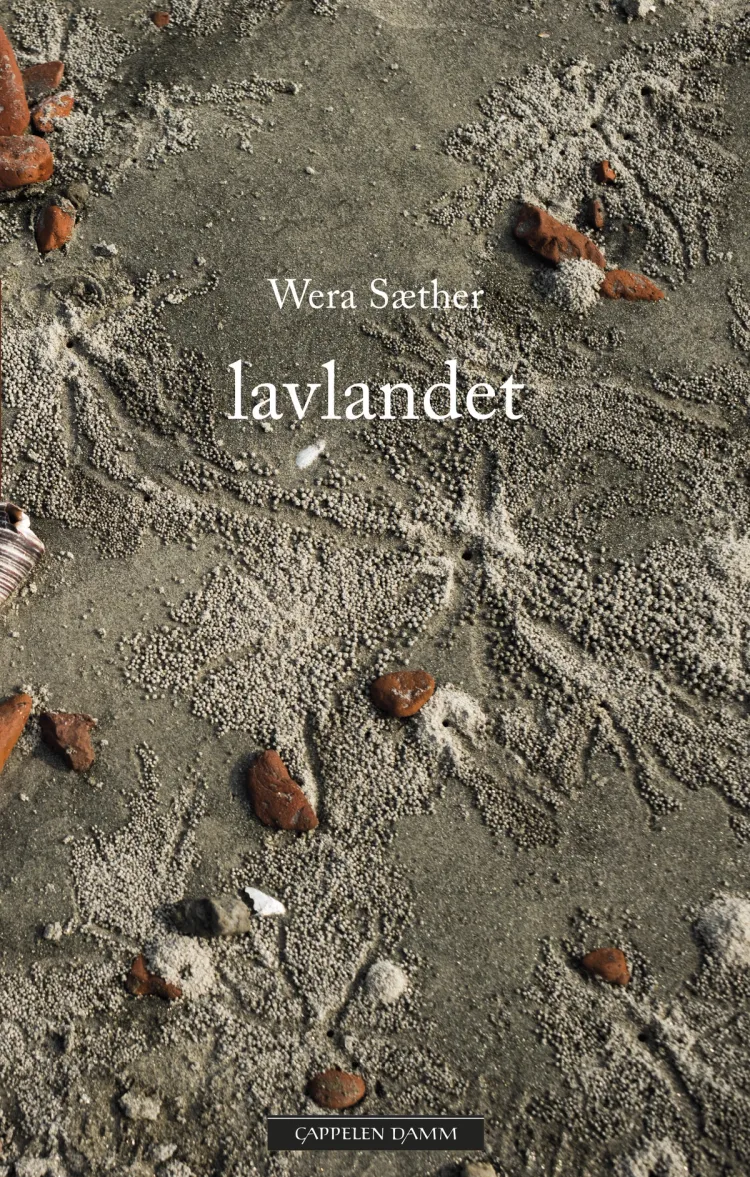 Omslag Lavlandet av Wera Sæther (Ebok)