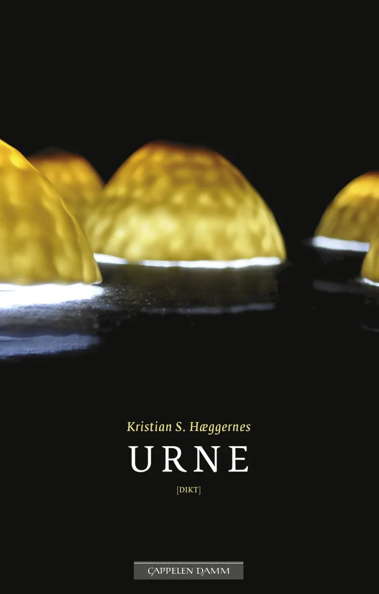 Omslag Urne av Kristian S. Hæggernes (Innbundet)