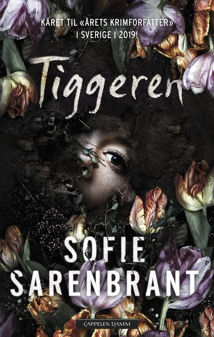 Omslag Tiggeren av Sofie Sarenbrant (Innbundet)