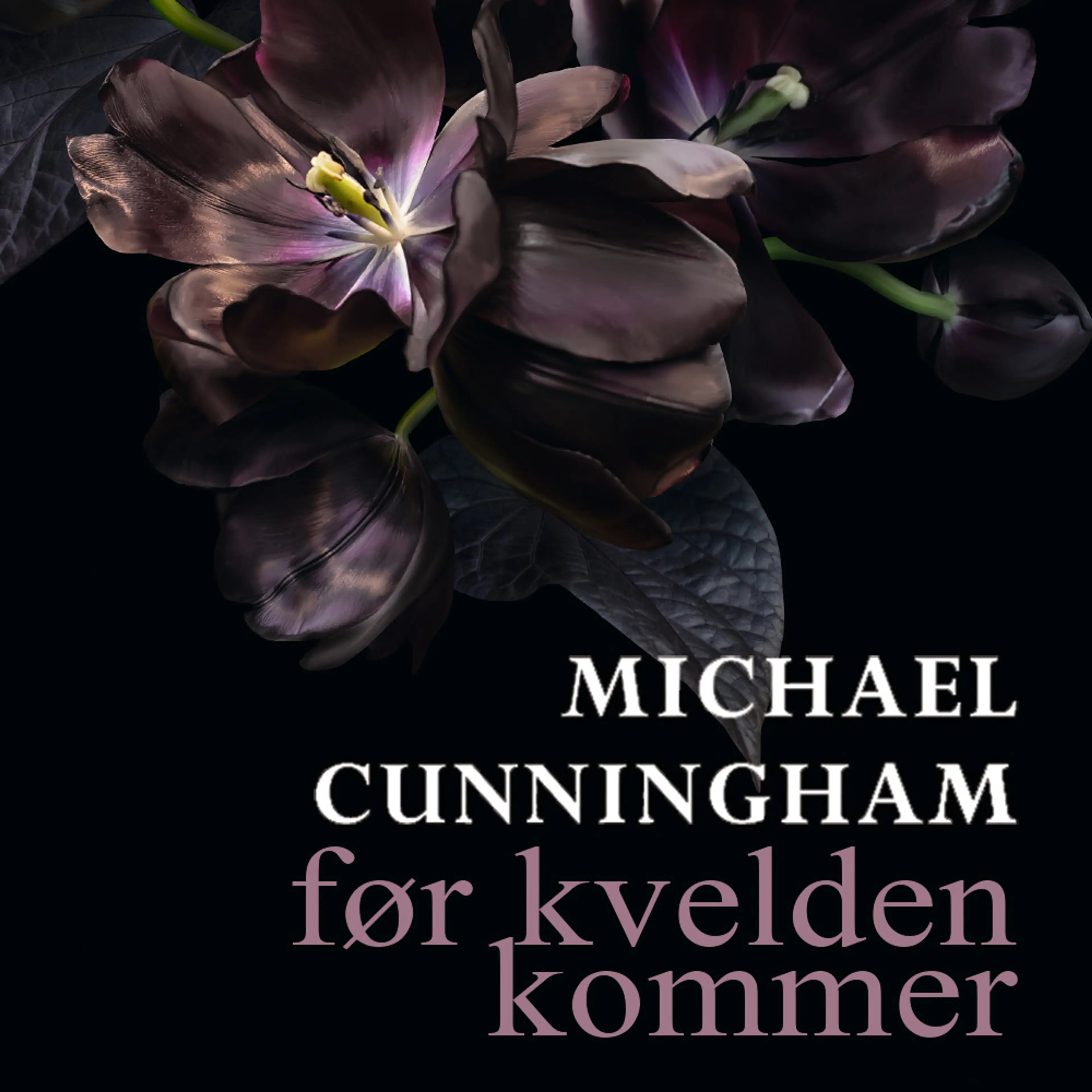 Omslag Før kvelden kommer av Michael Cunningham (Lydbok)