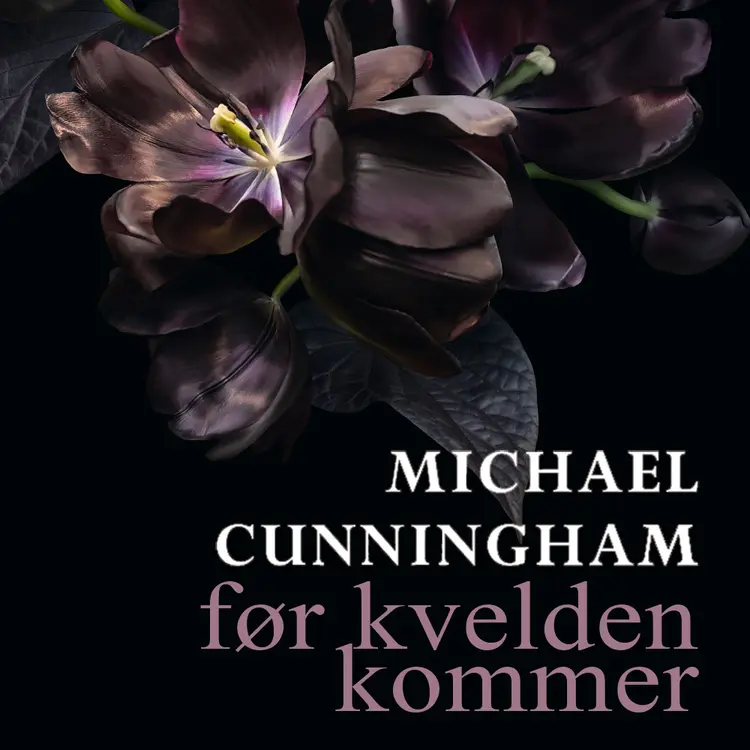 Omslag Før kvelden kommer av Michael Cunningham (Lydbok)