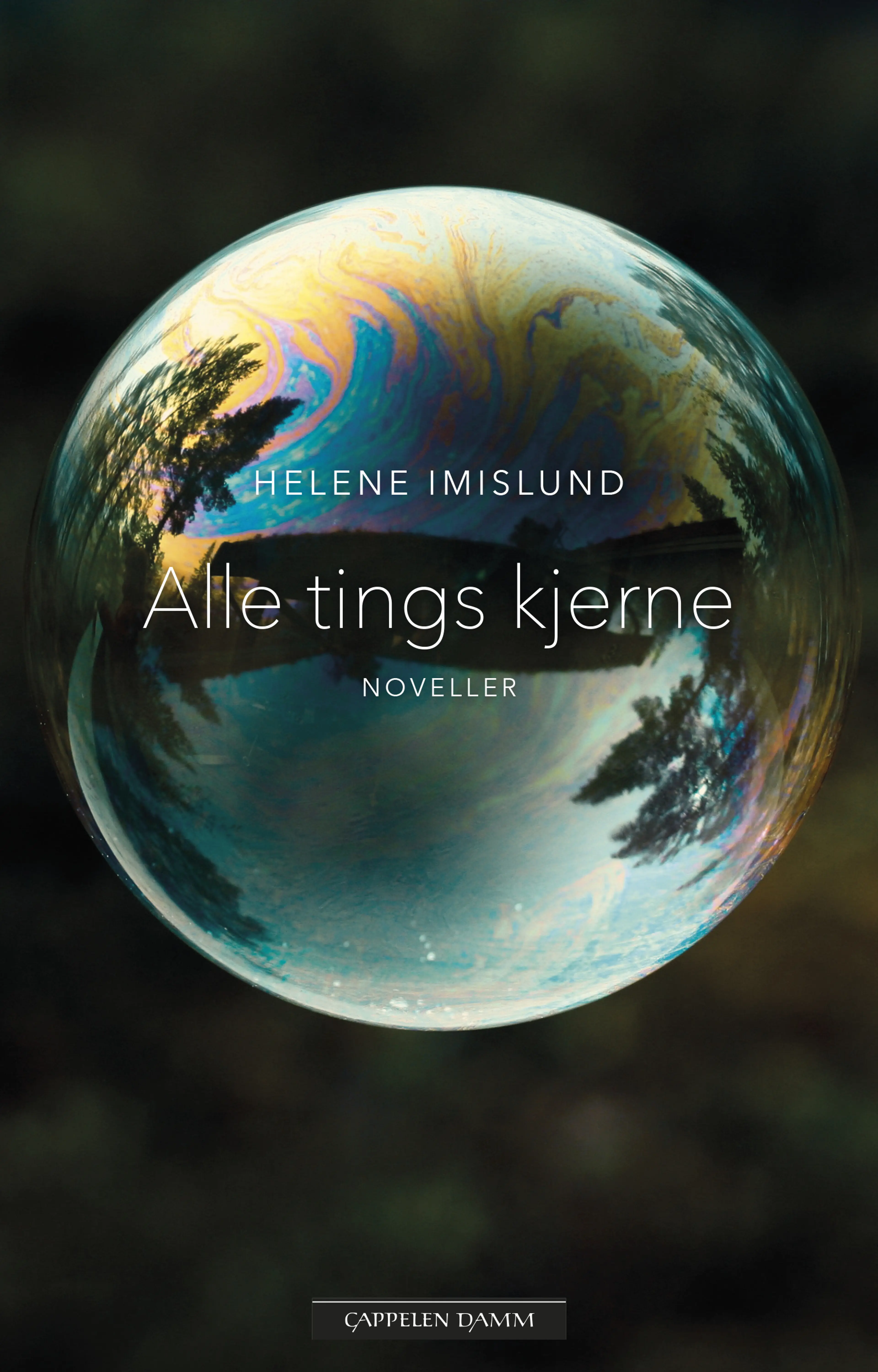 Omslag Alle tings kjerne av Helene Imislund (Innbundet)