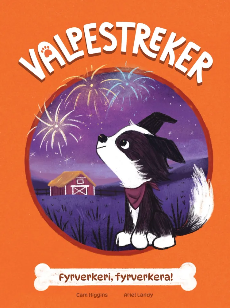 Omslag Valpestreker 4: Fyrverkeri, fyrverkera! av Cam Higgins (Innbundet)