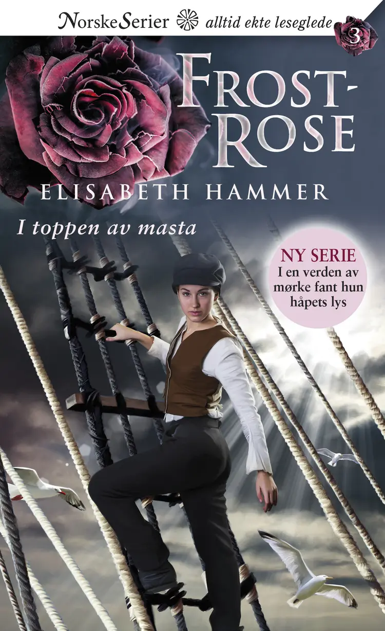Omslag I toppen av masta av Elisabeth Hammer (Ebok)